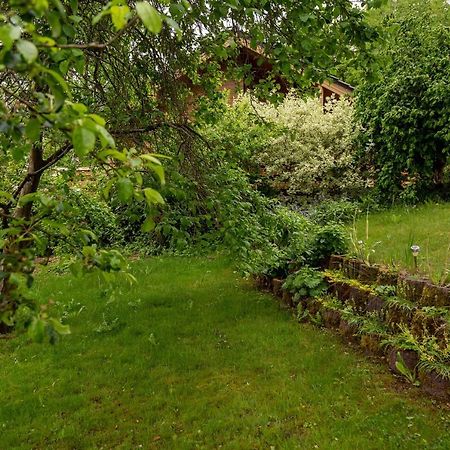 Ferienhaus Weitblick Altenbrak Kültér fotó